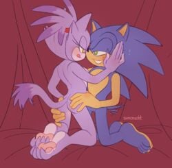 anthro ass blaze_the_cat blue_body blue_fur bodily_fluids butt_grab curtains duo eye_contact female fur hand_on_butt hand_on_face lidded_eyes looking_at_another male male/female pawpads purple_body purple_fur romantic sega smile sonaze_ sonic_(series) sonic_the_hedgehog sonicnacht sweat sweatdrop tail_motion tailwag