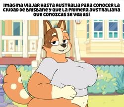 1girls anthro australian_cattle_dog belly bluey_(series) brown_fur canine chilli_heeler clothed curimomo dog dog_ears dog_tail domestic_dog female fur furry imagina_que_y_ella_se_ve_asi_(meme) mammal meme meme_reference orange_body orange_fur orange_hair smiling sssonic2_(style) tail text traced unknown_artist