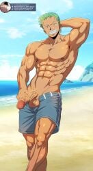 one piece fan art