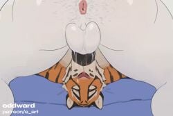 2boys animated anthro ass big_ass big_butt blowjob bubble_ass bubble_butt butt dat_ass dat_butt eddward face_fucking facefuck fat_ass fat_butt fellatio furry gay huge_ass huge_butt large_ass large_butt moaning muscular muscular_male oral round_ass round_butt sound sucking sucking_penis tagme thick_ass thick_butt tiger video