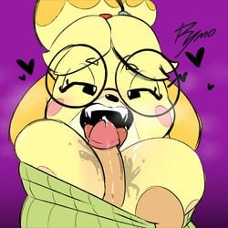 1boy 1girls 2021 animal_crossing anthro big_breasts breasts clothed clothing domestic_dog female furry glasses green_sweater isabelle_(animal_crossing) nintendo nipples open_mouth paizuri paizuri_under_clothes penis precum rymogrime sweater tongue tongue_out