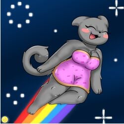 flying furry happy nyan_cat poptart rainbow