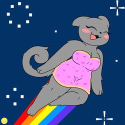 flying furry happy nyan_cat rainbow