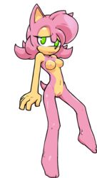 amy_rose color colored female nanojam nude png pussy sonic_(series) sonic_the_hedgehog_(series) tagme transparent_background