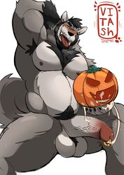 absurd_res anthro armpit_hair balls bara beard black_hair blush bodily_fluids body_hair canid canine canis cum cum_in_pumpkin cum_string facial_hair food fruit fucking_pumpkin fur genital_fluids genital_piercing genitals grey_body grey_fur hair hi_res jack-o'-lantern male male_only mammal muscular muscular_anthro muscular_male nipples penis penis_piercing piercing plant prince_albert_piercing pubes pumpkin solo tongue tongue_out vitashi were werecanid werecanine werewolf wolf