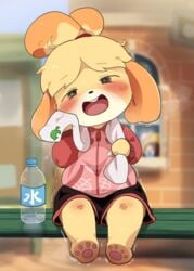 1girls animal_crossing anthro bench cleaning dagasi dog_ears exhausted feet half-closed_eyes happy isabelle_(animal_crossing) legs nintendo shizue_(doubutsu_no_mori) shorts smile sports_shorts sportswear sweat tanukichi_(doubutsu_no_mori) tied_hair tom_nook tongue towel trembling upper_teeth water_bottle workout