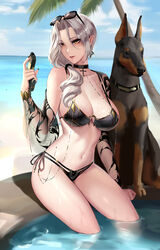 beach big_breasts breasts carmilla_(fate) cianyo doberman dog fate/grand_order fate_(series) female feral looking_at_viewer swimsuit swimwear tagme