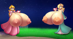 princess peach from mario (series) by metachoke