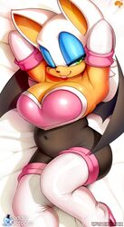 Sonic (Series) Rule 34 Image