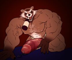 1boy abs balls biceps furry furry_only hyper hyper_balls hyper_bulge hyper_genitalia hyper_penis hyper_testicles male male_only marvel marvel_comics masturbation muscles muscular muscular_arms muscular_legs muscular_male muscular_thighs nipples pecs penis rocket_raccoon testicles veins veiny_penis