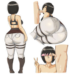 mikasa ackerman from attack on titan by panarandom