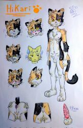 animal_genitalia animal_penis anthro ass balls calico_cat colored domestic_cat erection felid feline feline_genitalia felis fur genitals graphite_(artwork) hi_res hikari_hoshikawa_(kitzuneharu) kitzuneharu male mammal mottled mottled_body mottled_fur nude penis pink_nose sheath simple_background solo tail traditional_media_(artwork) vibrissae yellow_eyes