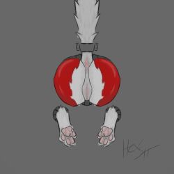 anthro anus ass bondage bound canid canine fan_character feet female female_anthro fur genitals grey_background grey_wall hex_(disambiguation) hi_res mammal pawpads paws pussy red_body red_fur simple_background solo stuck tail tail_anus tail_bondage tail_tied through_wall vulva wall_(structure) white_body white_fur