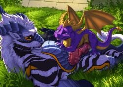 2025 activision black_sclera claws countershade_torso countershading dragon duo erection feral feral_on_feral finger_claws fur genitals grass hi_res horn hybrid jackrow knot knotted_penis larger_feral larger_male lying lying_on_another male male/male membrane_(anatomy) membranous_wings mythological_creature mythological_scalie mythology on_back on_front penis plant purple_body purple_eyes purple_scales quadruped scales scalie semi-anthro shaded size_difference smaller_feral smaller_male snout spyro spyro_the_dragon striped_body striped_fur stripes tail toe_claws wairu watermark white_body white_fur wings yellow_body yellow_eyes yellow_scales