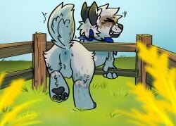 anthro anus bent_over buzzard_(synthet1c) canid canine canis farm fence grass grimace kerchief male male/male mammal microsoft minecraft mojang one_leg_up plant raised_leg raised_tail solo straining struggling stuck stuck_in_fence synthet1c tail wolf wolf_(minecraft) xbox_game_studios