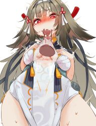 ye shunguang from zenless zone zero