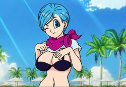 1girls bra bulma bulma_briefs dragon_ball dragon_ball_super edit seductive solo tagme twistedterra