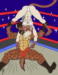 erection erection_under_clothes female gexon husband_and_wife hyena interspecies kyle male mixed_wrestling muscle_buster muscles penis siamese_cat teamavalanchemember2 wrestling wrestling_ring yin