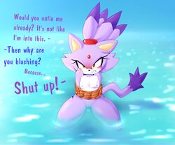 1girls angry anonymous_artist anthro blaze_the_cat blush bondage bound denial domestic_cat felid feline felis female female_only flat_chested hi_res mammal naked nude purple_body sega shoulders_raised solo sonic_(series) text water