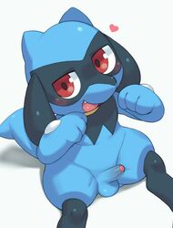 erection exige genitals male nintendo penis pokémon_(species) pokemon riolu solo_male tagme white_background