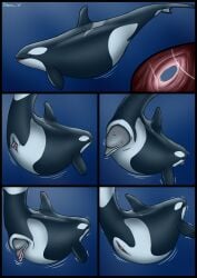 2025 almost_fully_inside ambiguous_feral ambiguous_gender ambiguous_prey belly big_belly black_body black_border blowhole body_in_pussy border cetacean comic dolorcin dolphin dorsal_fin duo female female/ambiguous female_feral female_pred feral feral_pred feral_prey fin flukes fully_inside genitals grey_body hi_res internal larger_female larger_pred mammal mammary_slits marine motion_lines multicolored_body oceanic_dolphin orca pectoral_fin pussy size_difference smaller_ambiguous toothed_whale two_tone_body unbirthing underwater vaginal_penetration vore water white_body year