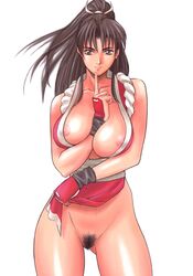 areola artbook black_hair breasts fatal_fury female female_only finger_to_mouth glamorous_colors_4 grey_eyes high_resolution human king_of_fighters large_breasts long_hair mai_shiranui momoi_nanabei no_bra no_panties pointy_chin ponytail pubic_hair pussy rope solo tied_hair