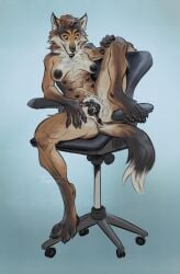 animal_ears blue_background chair claws erection female full_body furry glowing_eyes gradient gradient_background looking_at_viewer nipples nude penis pussy sitting solo spread_legs stool tagme tail uncensored wolf wolf_ears wolf_tail yellow_eyes