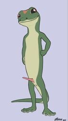 erection gecko geico_gecko male nude penis slit standing