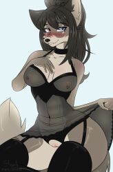 absurd_res anthro blue_eyes blush canid canine canis choker clothing female genitals hair heterochromia hi_res jewelry legwear lingerie looking_at_viewer mammal necklace nipples pink_nipples ponytail presenting presenting_vulva red_eyes scar sharly smile smiling_at_viewer solo stockings transparent_fabric vulva wolf
