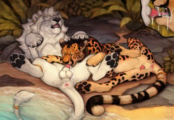 2026 anchee anus balls bodily_fluids butt cheetah claws cum cum_in_mouth cum_inside digital_drawing_(artwork) digital_media_(artwork) duo erection feet felid feline feral feral_on_feral feral_penetrated feral_penetrating feral_penetrating_feral fur genital_fluids genitals hi_res lion male male/male male_penetrated male_penetrating male_penetrating_male mammal outside pantherine paws penetration penis penis_in_mouth roidhcheetah rykel sex spots tail toes