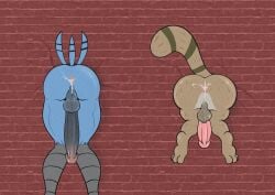 after_sex anthro anus avian backsack balls bird bodily_fluids brick brick_wall butt cartoon_network cum cum_in_ass cum_inside darkened_genitalia duo genital_fluids genitals hi_res illegaleel male mammal markings mordecai_(regular_show) penis penis_size_difference perineum pink_penis procyonid raccoon rear_view regular_show rigby_(regular_show) ring_(marking) ringed_tail striped_markings striped_tail stripes tail tail_markings through_wall wall_(structure)