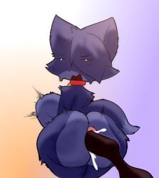 big_butt big_penis cat femboy furry koracaesh taikupy_(character)