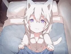 2010s :3 bedroom blinking blue_blanket cat_ears cat_tail cute from_above_view gif hair_between_eyes hikimayu holding holding_object holding_with_two_hands looking_at_viewer medium_hair messy_hair naked_shirt neko neko_girl no_nose open_mouth pajamas pale_skin pillow purple_eyes shirt slit_pupils small_breasts tail tareme tilting_head waving_tail white white_hair white_pillow white_tail wholesome wing_collar