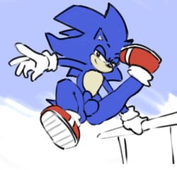 anthro balls blue_body casual clothing eulipotyphlan exposed_torso footwear genitals gloves handwear hedgehog hi_res looking_at_viewer male male_focus male_only male_solo mammal mostly_nude outside penis sega shoes solo solo_male sonic_(series) sonic_the_hedgehog sonic_the_hedgehog_(series) sunhuiz sunny