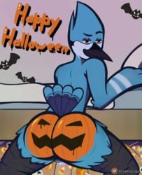 1boy arsenicrain ass ass_focus balls big_ass bird candy furry furry_only gay halloween looking_at_viewer male male_only mordecai mordecai_(regular_show) pumpkin pumpkin_butt regular_show solo yaoi