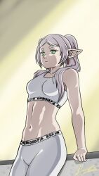 frieren from sousou no frieren by chrodofa