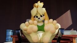 2024 3d 3d_(artwork) 3d_model 4_toes animal_crossing animal_crossing_new_leaf anthro canid canine canis clitoris clothing digital_media_(artwork) domestic_dog doubutsu_no_mori eyebrows feet female foot_fetish foot_focus genitals hair hi_res highwizard isabelle_(animal_crossing) isabelle_(highwizard) looking_at_viewer mammal nintendo pawpads paws pussy shih_tzu solo toes toy_dog twintails3d