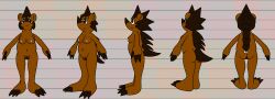 amialido_amdodo_(copyright) anthro ass breasts brown_body brown_fur brown_hair claws female fur genitals hair hi_res lendri_mujina mammal model_sheet navel nipples nude porcupine pubes pussy rodent shielle_spineback solo turnaround