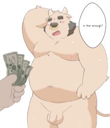 2023 anthro balls belly big_belly blush bovid bovine cattle dialogue duo english_text facial_piercing flaccid genitals ginsingoo1 holding_money holding_object humanoid_genitalia humanoid_hands humanoid_penis kemono male mammal money moobs nipples nose_piercing nose_ring overweight overweight_male penis piercing ring_piercing solo_focus speech_bubble text