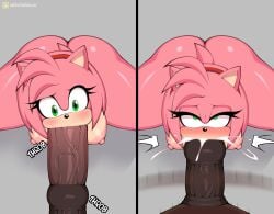 amy rose from sega by notkadraw