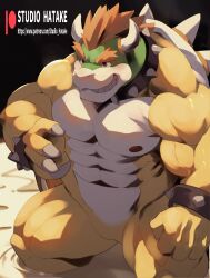 absurd_res anthro bowser hatake hi_res male male_only mario_(series) muscular nintendo solo