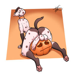 2021 anthro anus backsack balls blep canid canine canis dalmatian digital_media_(artwork) domestic_dog food freckles_(artist) fruit genitals humanoid_genitalia humanoid_penis looking_at_viewer looking_back looking_back_at_viewer lunares_(freckles) male mammal pawpads penis pink_pawpads plant pumpkin signature solo spots spotted_balls spotted_genitalia spotted_penis tongue tongue_out