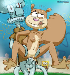 1girls 2boys boobs breasts cephalopod cum cum_in_pussy cum_inside female male nickelodeon octopodiform octopus penis pussy sandy_cheeks sea_sponge sex spongebob_squarepants spongebob_squarepants_(character) spongebob_squarepants_(series) squidward_tentacles squirrel straight_hair tagme team_touchdown vagina vaginal vaginal_sex what