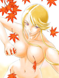 blonde_hair kasuga large_breasts pointy_chin sengoku_basara tagme