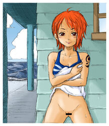 blush bottomless brown_eyes censored clothing dress dress_lift female female_only going_commando kurita nami_(one_piece) no_bra no_panties no_underwear one_piece orange_hair pre-timeskip pussy skirt skirt_lift straight_hair sweat tattoo thigh_gap thighs undressing