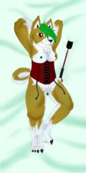 1:2 akita akita_inu anthro bondage breasts canid canine canis clothing corset cravache dakimakura_design daoru-drawing domestic_dog female genitals lingerie mammal pussy riding_crop shiba_inu solo spitz topwear whip yukita