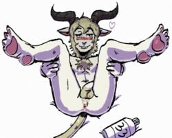 33xtc absurd_res anthro anus balls beastars blush body_hair bovid caprine chest_hair dall_sheep erection feet genitals girly heart hi_res horn lube_bottle lying male mammal on_back pawpads pina_(beastars) presenting sheep simple_background solo submissive submissive_male white_background