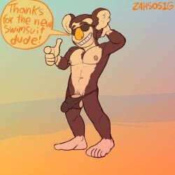 animal_crossing anthro balls bulge clothing eugene_(animal_crossing) eyewear flaccid genitals grin hi_res humanoid_genitalia humanoid_penis koala male male_only mammal marsupial nintendo penis smile solo solo_male speedo sunglasses swimwear vombatiform zahsosig