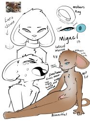 absurd_res angry anthro balls blue_eyes bodily_fluids brown_body brown_fur flaccid fur genitals hi_res male mammal model_sheet mouse murid murine nipples nude penis privvys-art ring rodent sad solo tears text