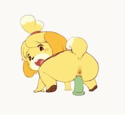 animal animal_crossing animated ass dildo dildo_in_pussy dildo_penetration dildo_riding female feminine feminine_ass feminine_body feminine_pose isabelle_(animal_crossing) isabooty nintendo plump plump_ass sake_kemosalmon scat sex_toy shit shitting solo submissive submissive_female training vaginal_object_insertion vaginal_penetration white_background